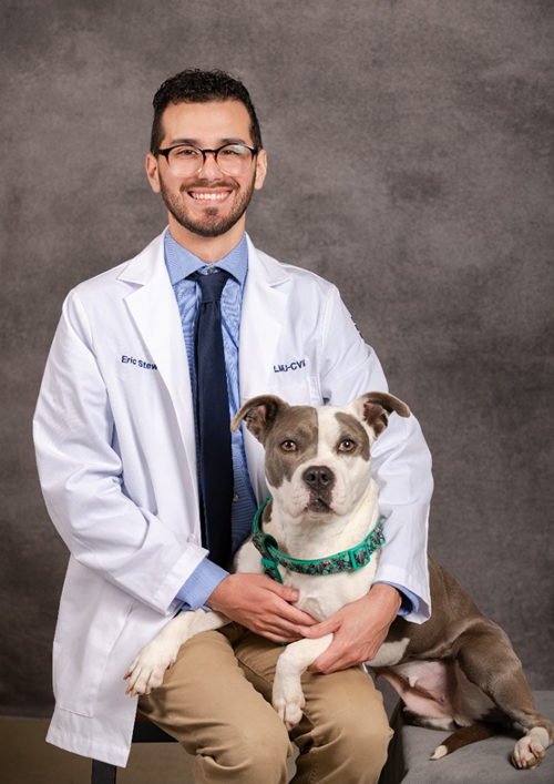 Eric Stewart, DVM